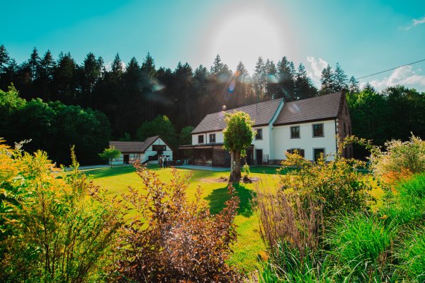 Book de mariage (public) strasbourg alsace